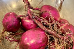 6F1C64CF-18A1-462B-831C-B7FADAA22F6E