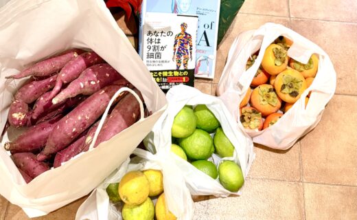 奈良市さくら整体院