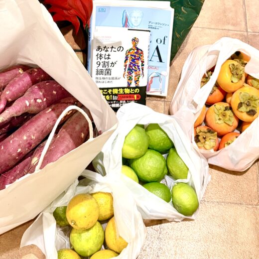 奈良市さくら整体院